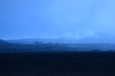 DSC_1023 (Large).JPG